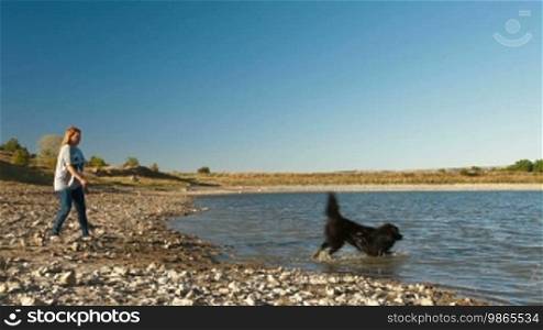 Young Woman Training Newfoundland Dog By the Lake