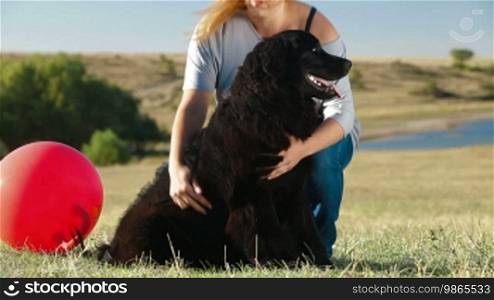 Young woman training Newfoundland dog outdoors