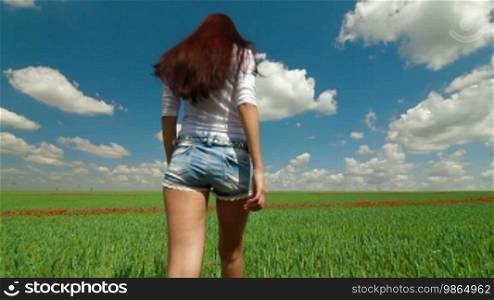 Young woman walking through the green wheat field. Tracking shot, rear view.