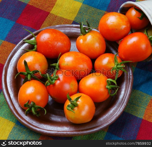 Vietnam agricultural product, closeup of fresh tomato in red, tomatos is nutrition, organic fruit, rich vitamin, carotene, lycopene, healthy food, frequently used can prevent breast cancer risk