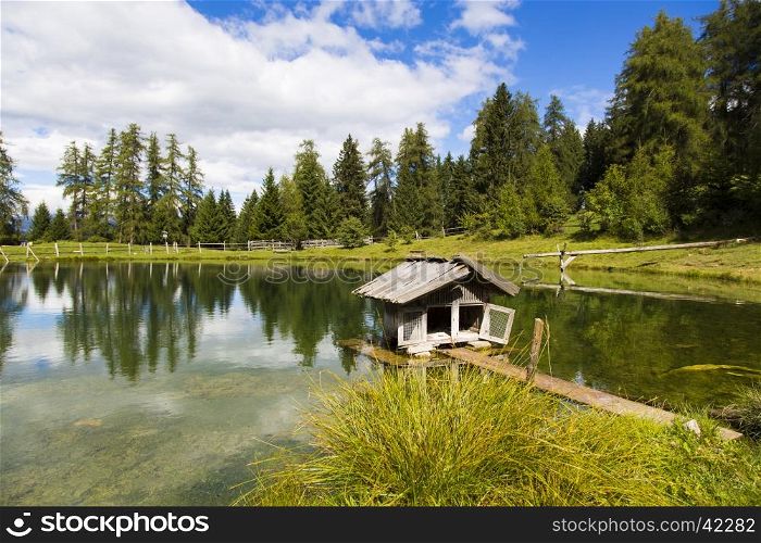 View a small house for ducks in the small lake of Marinzen Alm