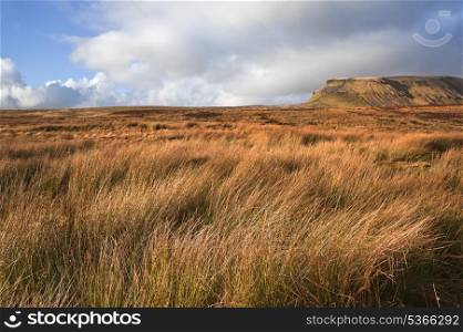 View across moor leading to Pen-y-Ghent in Yorkshire Dales National Park