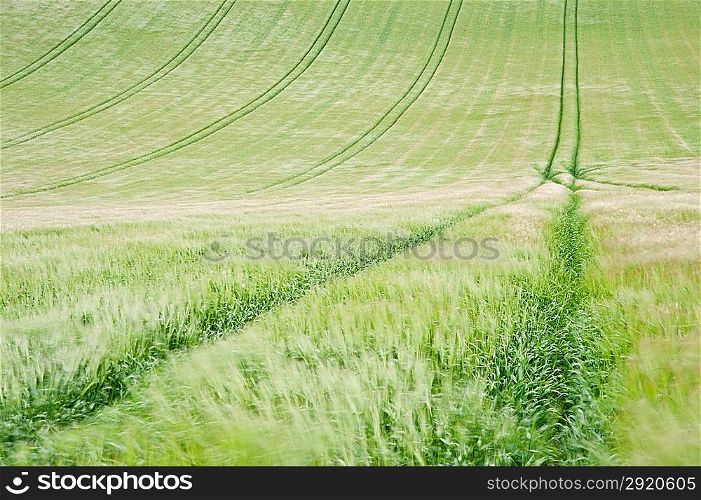View along tractor lines in ploughed farm field on windy Summer day landscape
