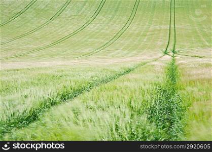 View along tractor lines in ploughed farm field on windy Summer day landscape
