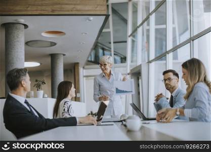 View at mature business woman explaining project details on a meeting in office