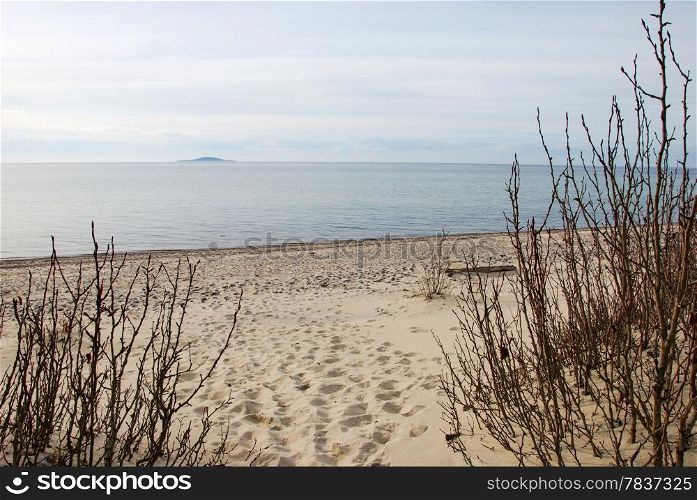 View at the Baltic Sea from a sandy beach at the swedish island Oland