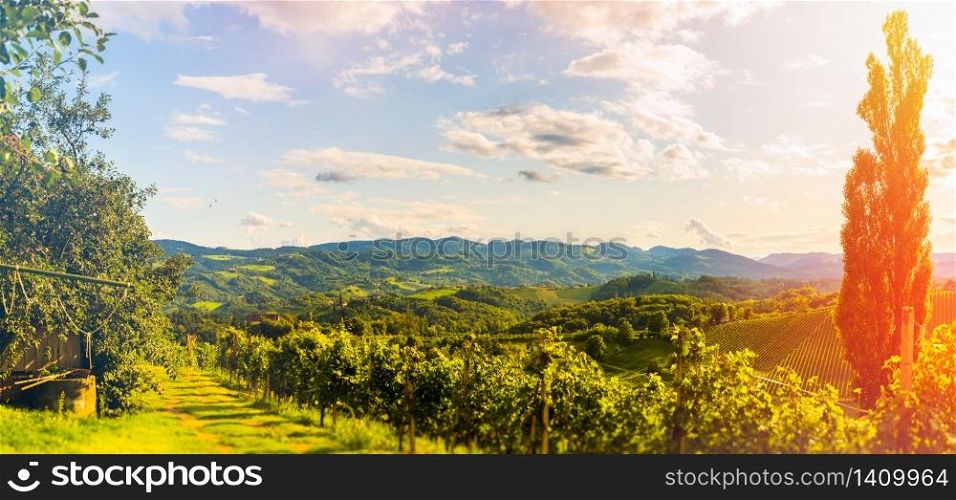 View at vineyards on Slovenia - Austria border. Panoramic view at tourist destination in Spicnik - south Styria. Panoramic view at vineyards tourist destination in Spicnik - south Styria.