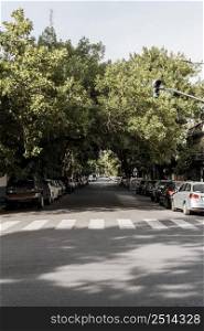 view city street with trees card