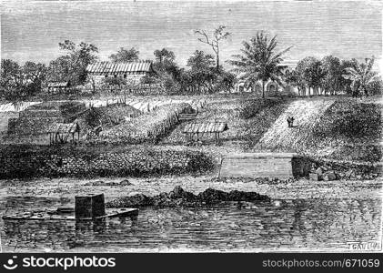 View counter of Gabon in 1861: Park coal, vintage engraved illustration. Le Tour du Monde, Travel Journal, (1865).