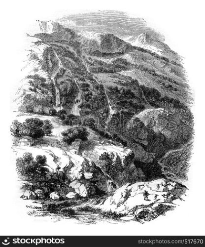 View Daphne Gardens, near Antioch, Syria, vintage engraved illustration. Magasin Pittoresque 1845.
