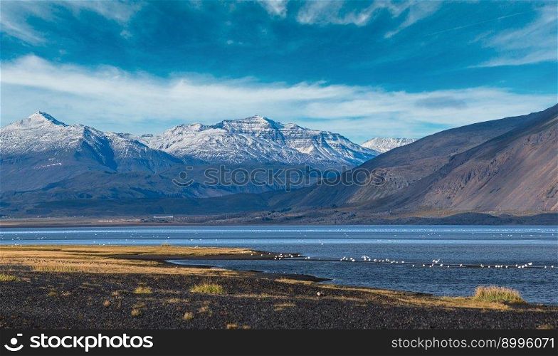 View during auto trip in Iceland. Spectacular Icelandic landscape with  scenic nature  mountains, ocean coast, fjords, fields, clouds, glaciers, waterfalls, flocks of wild birds.