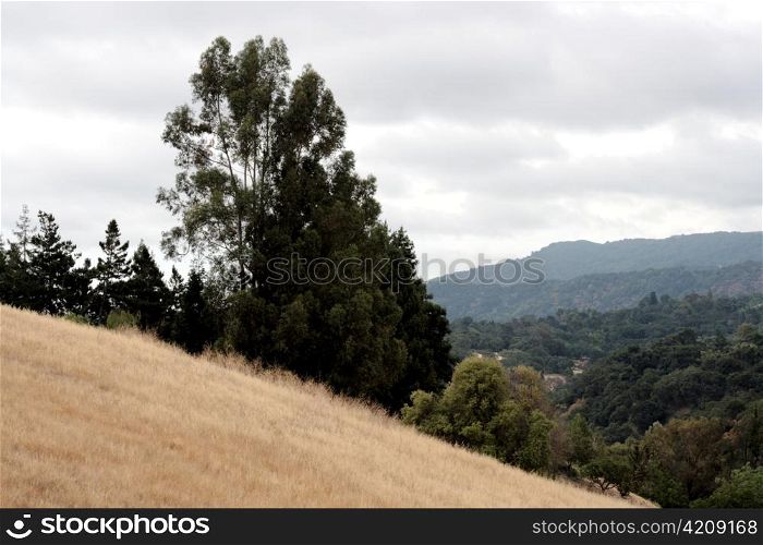 view from a California hillside