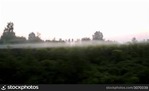 View from a moving train of countryside in a fog in summer
