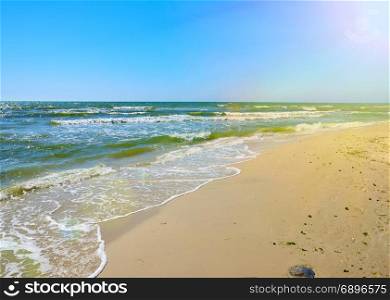 view from a sandy beach on the Black Sea in the summer, Ukraine