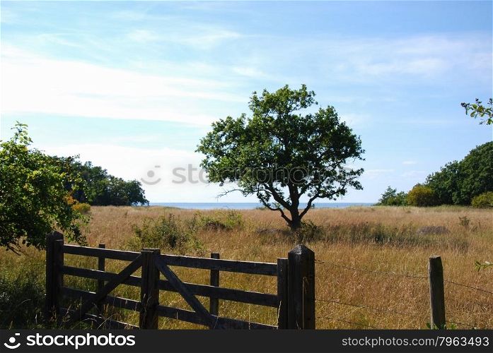 View from an old wooden gate at a coastal landscape