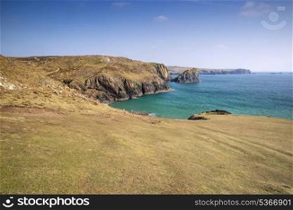 View from cliff tops across Kynance Cove. View from cliff tops across Kynance Cove in Cornwall England