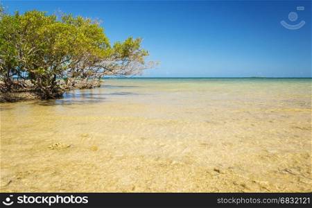View from Duck Island over clear tropical waters in New Caledonia in the South Pacific