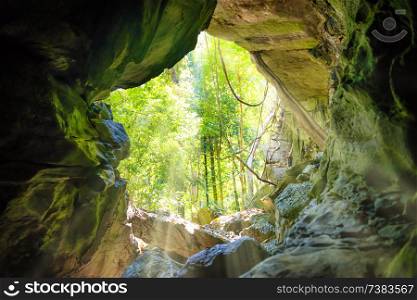 View from inside to entrance of natural cave and green forest behind it