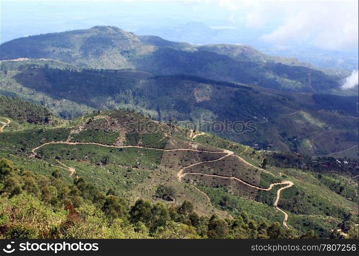View from mount on the tea plantations in Sri Lanka