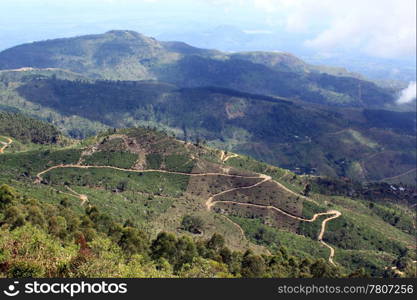 View from mount on the tea plantations in Sri Lanka