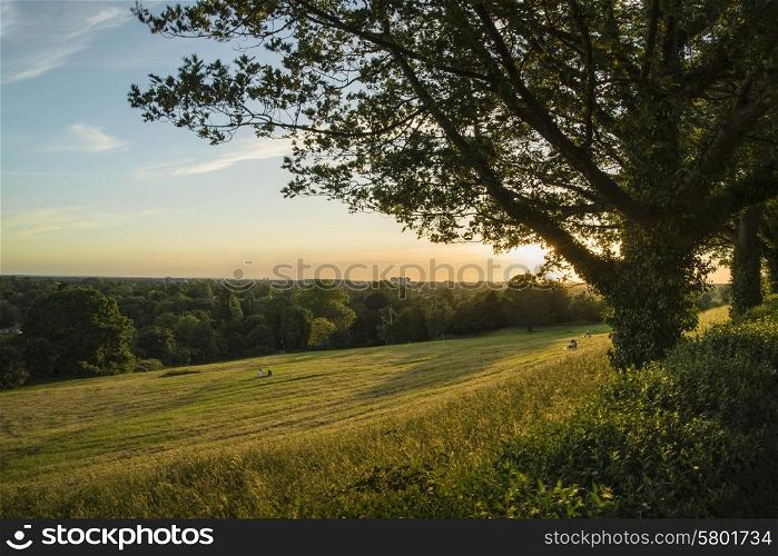 View from Richmond Hill in London over landscape during Summer sunset