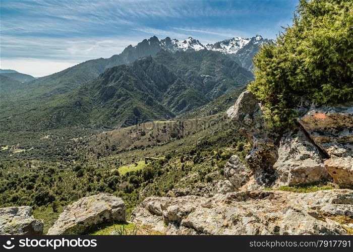 View from Sentier Ile Rousse a Corte near Maltifao in Corsica towards the Asco mountains with rocks and a bush in the foreground and a wispy blue sky Corte near Maltifao in Corsica towards the Asco mountains with rocks and a bush in the foreground and a wispy blue sky