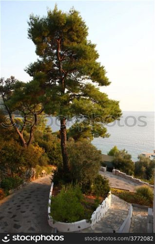 View from terrace,Adrina beach,Skopelos,Greece