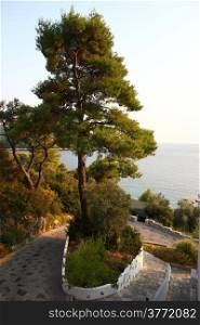 View from terrace,Adrina beach,Skopelos,Greece