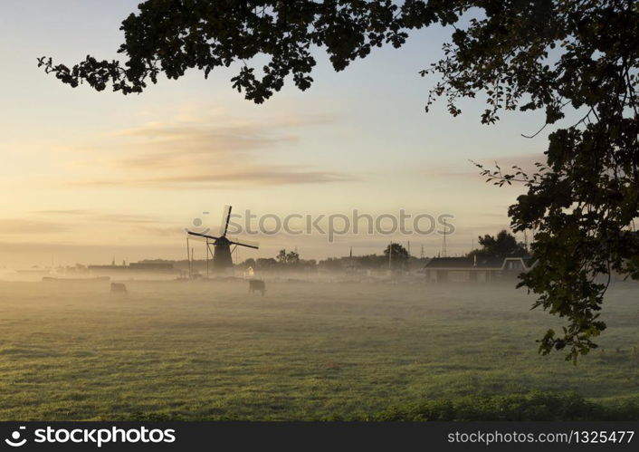 View from the Huys te Warmont estate over a misty field at the Zwanburger windmill. View at Zwanburger windmill