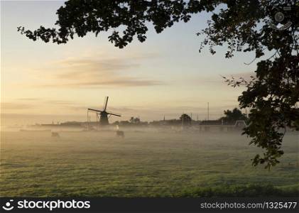 View from the Huys te Warmont estate over a misty field at the Zwanburger windmill. View at Zwanburger windmill