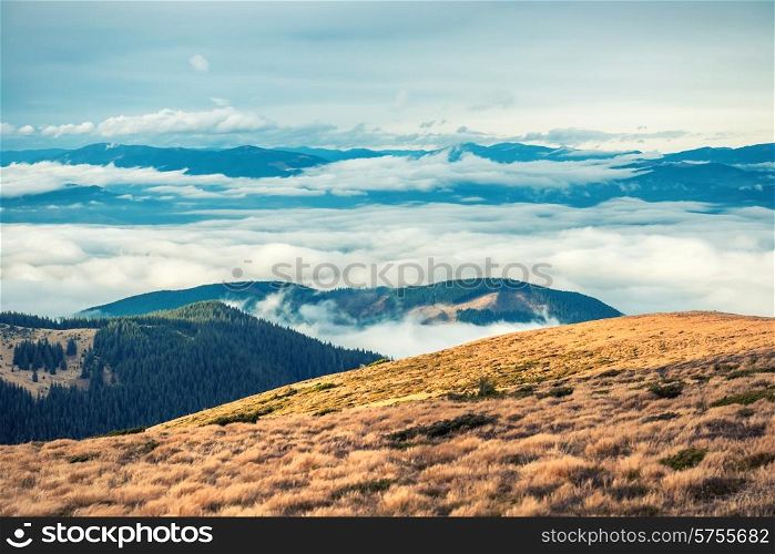 View from the mountain to beautiful landscape with grass and blue clouds. Hoverla, Ukraine.