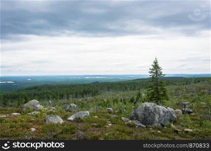 View from the mountain Vottovaara is the highest peak in the reserve on a cloudy day, Karelia, Russia.