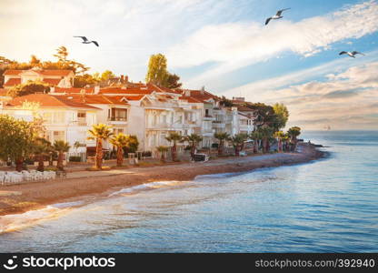 View from the sea to the island Kinaliada of the princes islands in summer. Residences on the coast of Kinaliada Island and the beach in front of it. summer landscape. Istanbul, Turkey.. View from sea to island Kinaliada of princes islands in summer