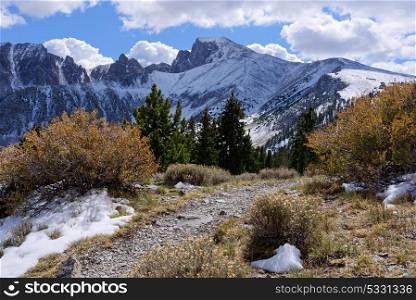 View from the Wheeler Peak Trail in Great Basin National Park, Baker, Nevada