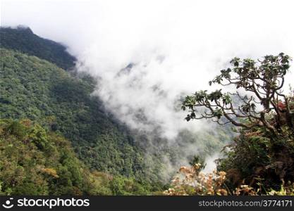 View from World&rsquo;s End in Horton plains national park, Sri Lanka