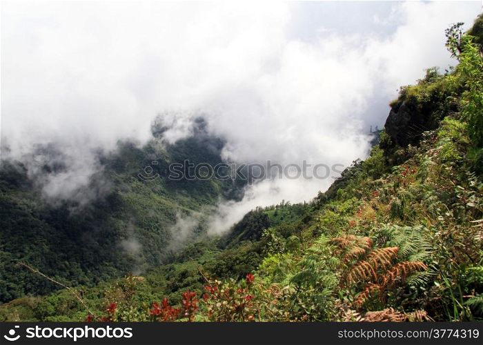 View from World&rsquo;s End in Horton plains national park, Sri Lanka