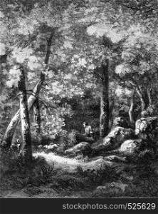 View in a forest, vintage engraved illustration. Magasin Pittoresque 1846.