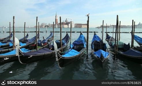 View in St Mark square, Venice, with San Giorgio Maggiore in the background