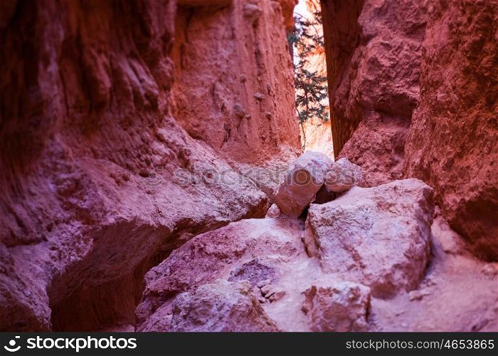 View inside a canyon, Bryce Canyon National Park