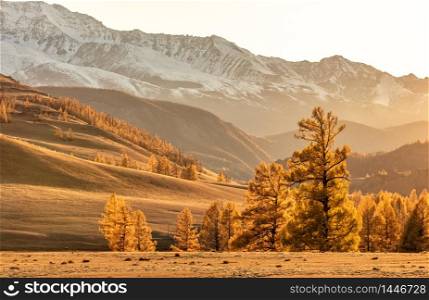 View of a beautiful valley at sunset in Altai mountains, Russia. Fall 2019