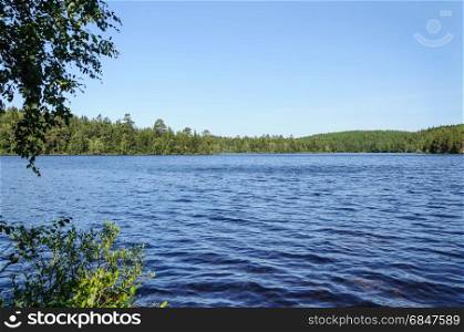 View of a big forest lake on Bolshoy Solovetsky Island, sunny summer day