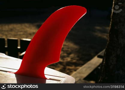 View of a bright orange fin on a surfboard, Jamaica