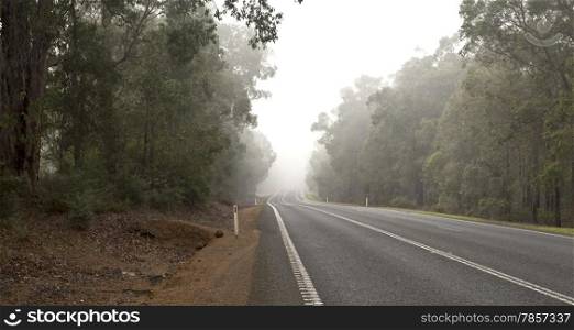 View of a country road during a foggy morning in Western Australia
