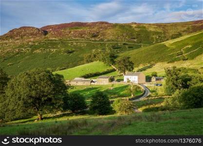 View of a Farm near Keswick in Cumbria
