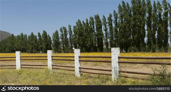 View of a fence on a farm in Casablanca Valley, Chile
