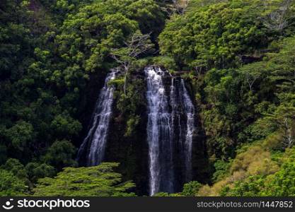 View of a gorgeous waterfall surrounded by green tropical forest in Hawaii, USA
