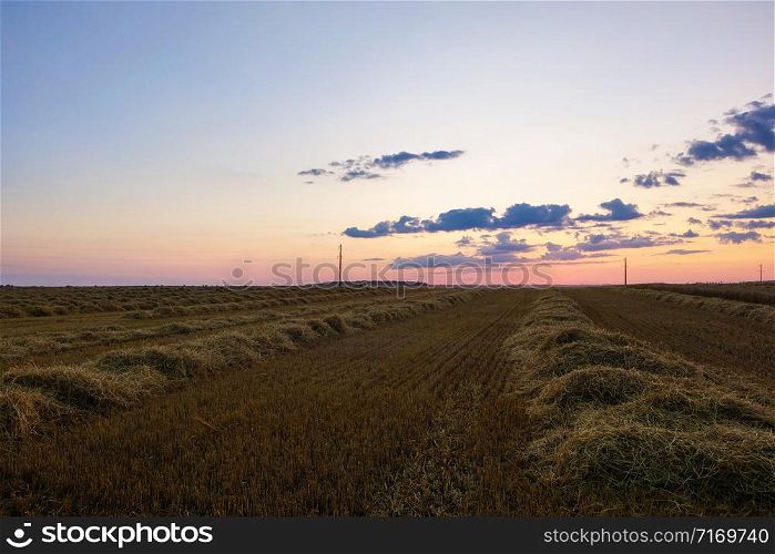 View of a harvested field of wheat or barley during sunset. View of a harvested field of wheat or barley during sunset.