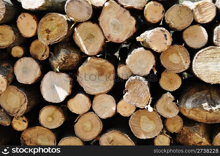 View of a pile of log wood