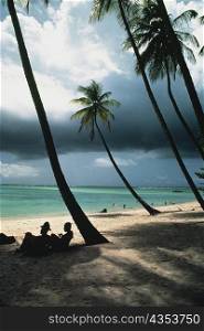 View of a scenic beach on a cloudy day, Pigeon Point, Tobago, Caribbean