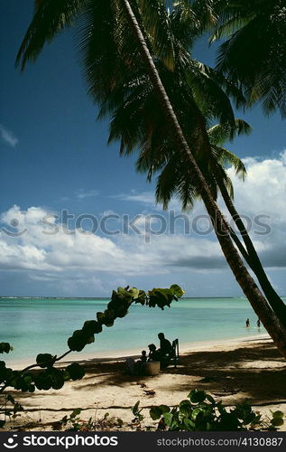 View of a scenic beach on a sunny day, Pigeon Point, Tobago, Caribbean